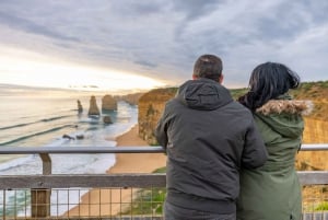 Great Ocean Road 12 Apostles and Wildlife Tour