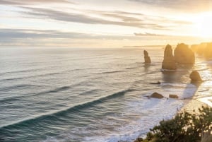 Great Ocean Road 12 Apostles and Wildlife Tour