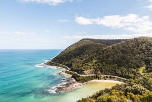 Great Ocean Road 12 Apostles and Wildlife Tour