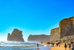 Melbourne: Tour di un giorno della Great Ocean Road e dei Dodici Apostoli