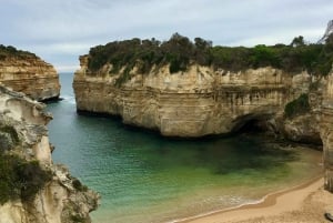 Melbourne: Tour di un giorno della Great Ocean Road e dei Dodici Apostoli
