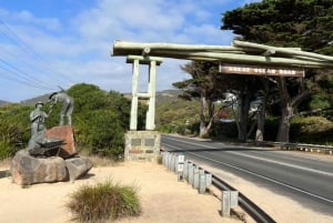 Melbourne: Tour di un giorno della Great Ocean Road e dei Dodici Apostoli
