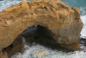 Melbourne: Tour di un giorno della Great Ocean Road e dei Dodici Apostoli