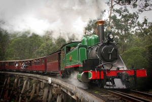 Melbourne: Half-Day Puffing Billy Steam Train Experience