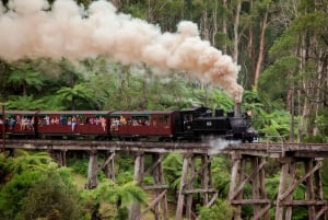 Melbourne: Half-Day Puffing Billy Steam Train Experience