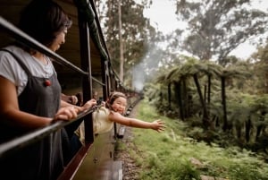 Melbourne: Half-Day Puffing Billy Steam Train Experience