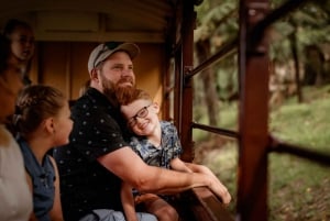 Melbourne: Half-Day Puffing Billy Steam Train Experience