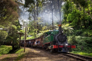 Melbourne: Half-Day Puffing Billy Steam Train Experience