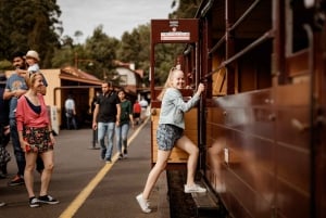 Melbourne: Half-Day Puffing Billy Steam Train Experience