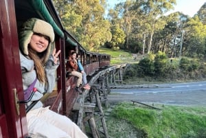 Melbourne: Half-Day Puffing Billy Steam Train Experience