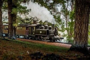 Melbourne: Half-Day Puffing Billy Steam Train Experience