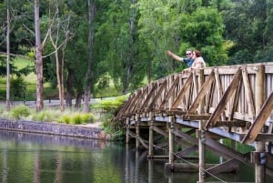 Melbourne: Half-Day Puffing Billy Steam Train Experience