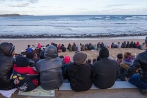 Melbourne: Healesville heiligdom & Phillip Island Tour