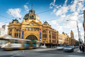 Melbourne Highlights & Aussie Wildlife Express Tour