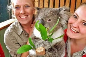 Melbourne Highlights & Aussie Wildlife Express Tour