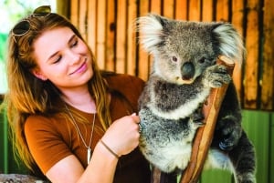 Melbourne Highlights & Aussie Wildlife Express Tour