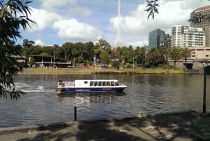 Melbourne Highlights with Yarra River Cruise and Lunch