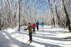 Melbourne: Lake Mountain Snow Guided Tour