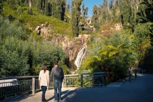 Melbourne: Lake Mountain Snow Play & Waterfalls Tour