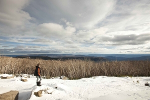 Melbourne: Lake Mountain snø, foss og sjokoladeri-tur