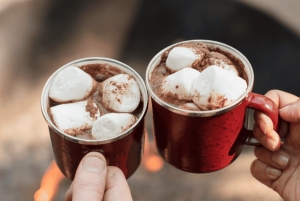 Melbourne: Lake Mountain snø, foss og sjokoladeri-tur