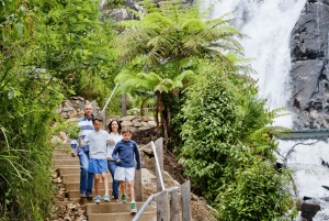 Melbourne: Lake Mountain snø, foss og sjokoladeri-tur