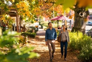 Melbourne: sneeuw en watervallen op Lake Mountain met gids