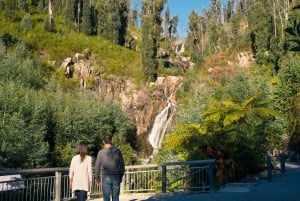 Melbourne: sneeuw en watervallen op Lake Mountain met gids