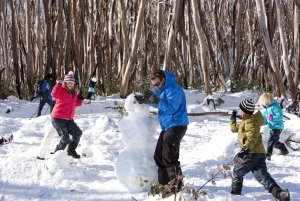 Melbourne: sneeuw en watervallen op Lake Mountain met gids