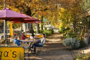 Melbourne: sneeuw en watervallen op Lake Mountain met gids