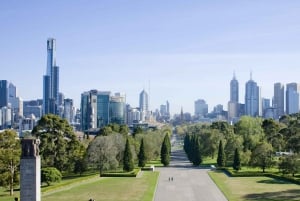 Melbourne Magic: City Discovery and Penguin Parade Tour