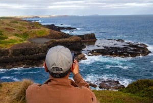 Melbourne Magic: City Discovery and Penguin Parade Tour