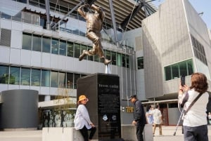 Melbourne Magic: Kaupungin kohokohdat ja pingviiniparaati-kierros