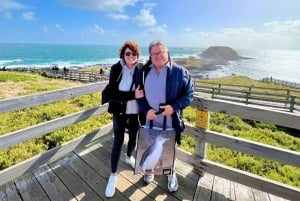 Melbourne Magic: Kaupungin kohokohdat ja pingviiniparaati-kierros