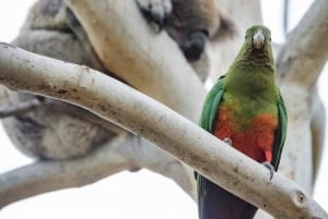 From Melbourne：Great Ocean Road Reversed Route Full Day Tour