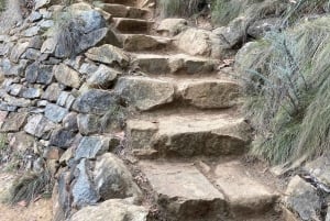 Melbourne: Marysvillen päiväkierros ja Healesvillen villieläinten suojelualue