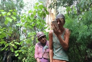 Melbourne: Marysvillen päiväkierros ja Healesvillen villieläinten suojelualue