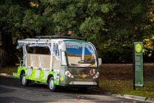 Melbourne: Melbourne Gardens Explorer Minibus Tour