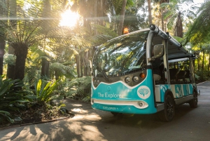 Melbourne: Melbourne Gardens Explorer Minibus Tour