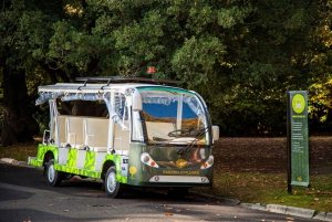 Melbourne: Melbourne Gardens Explorer Minibus Tour