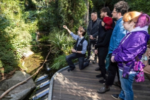 Melbourne: Führung durch das Melbourne Museum mit Ticket