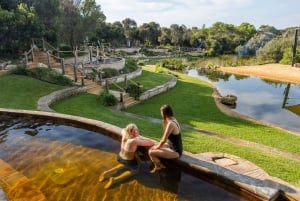 Melbourne: Moonlit Sanctuary and Peninsula Hot Springs Tour