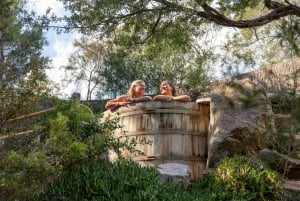 Melbourne: Moonlit Sanctuary and Peninsula Hot Springs Tour