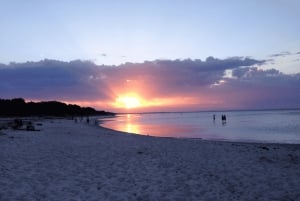 Melbourne: Mornington Peninsula ja Moonlit Sanctuary Tour (Kuutamo)