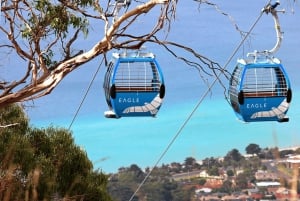 Melbourne: Mornington Peninsula ja Moonlit Sanctuary Tour (Kuutamo)