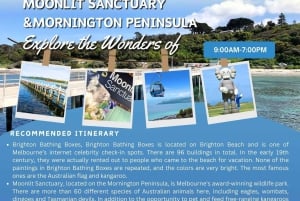 Melbourne: Mornington Peninsula ja Moonlit Sanctuary Tour (Kuutamo)