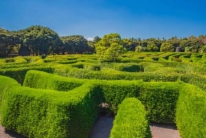 Melbourne Excursión por la Península de Mornington y Phillip Island