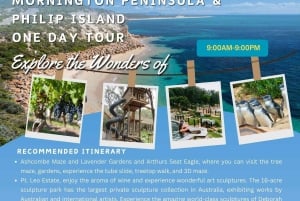 Melbourne Excursión por la Península de Mornington y Phillip Island