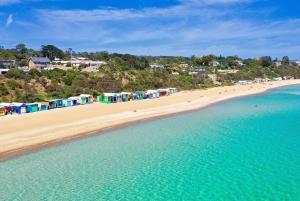 Melbourne : Excursion d'une journée dans la péninsule de Mornington