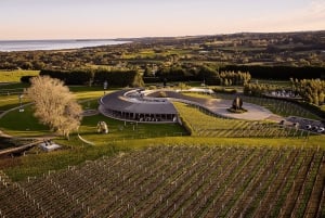 Melbourne : Excursion d'une journée dans la péninsule de Mornington